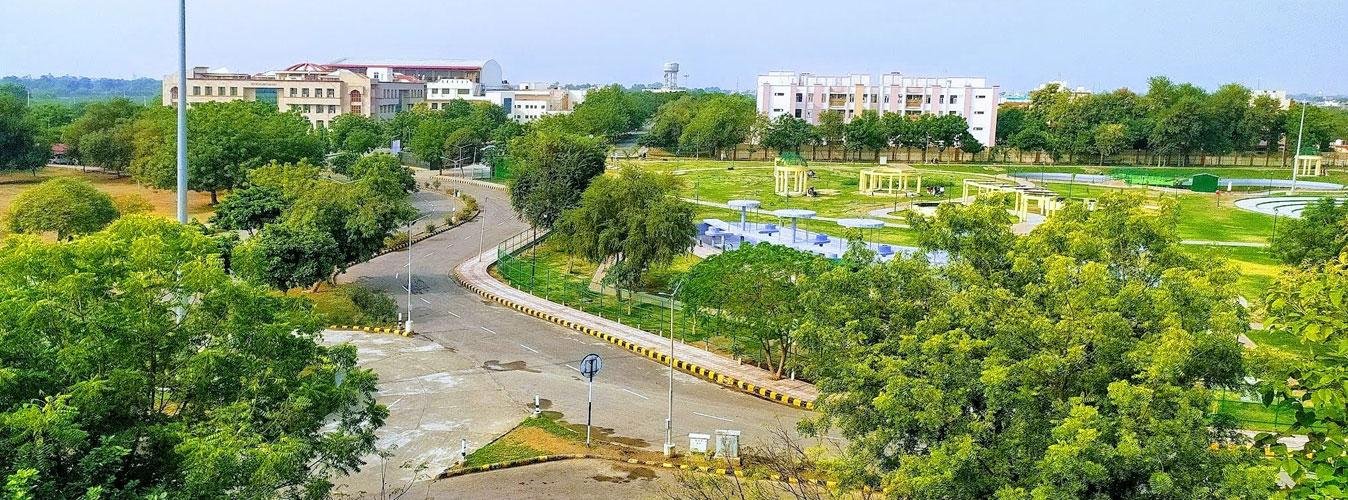 CDLU Greenery